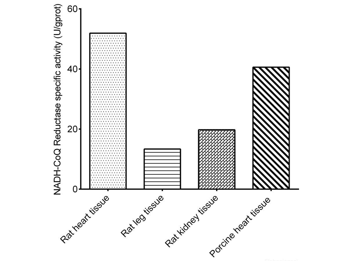 Mitochondrial Complex I (NADH-CoQ Reductase) Activity Assay Kit, Cell Assays, Elabscience Biotechnology, MSE Supplies