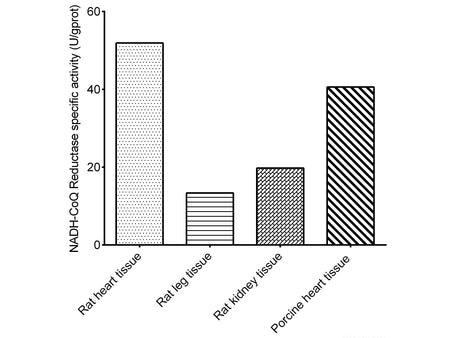 Mitochondrial Complex I (NADH-CoQ Reductase) Activity Assay Kit, Cell Assays, Elabscience Biotechnology, MSE Supplies