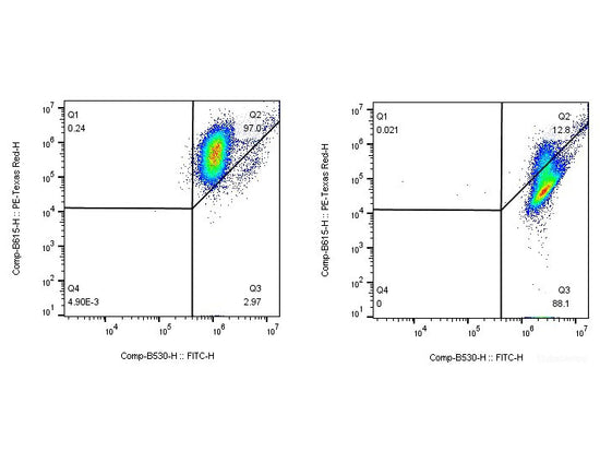 Mitochondrial Membrane Potential Assay Kit (with JC-1) – MSE Supplies