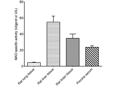 Monoamine Oxidase (MAO) Activity Assay Kit, Cell Assays, Elabscience Biotechnology, MSE Supplies