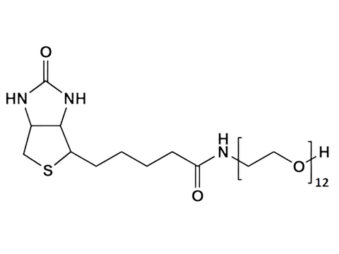 Monodispersed Poly(Ethylene Glycol) from PurePEG:(+)Biotin-PEG12-OH - MSE Supplies LLC