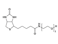 Monodispersed Poly(Ethylene Glycol) from PurePEG:(+)-Biotin-PEG2-OH - MSE Supplies LLC
