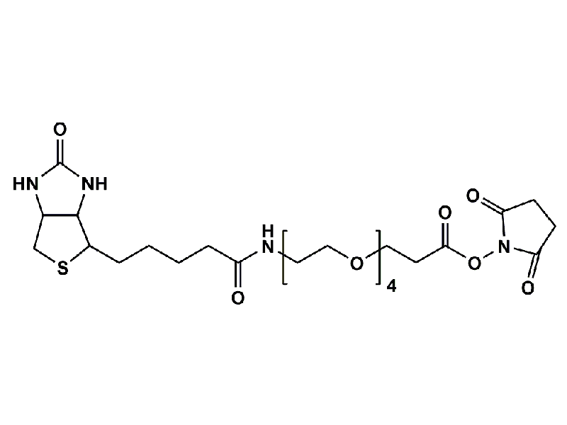 Monodispersed Poly(Ethylene Glycol) from PurePEG:(+)-Biotin-PEG4-CH2CH2COONHS Ester - MSE Supplies LLC