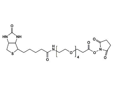 Monodispersed Poly(Ethylene Glycol) from PurePEG:(+)-Biotin-PEG4-CH2CH2COONHS Ester - MSE Supplies LLC