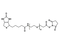 Monodispersed Poly(Ethylene Glycol) from PurePEG:(+)-Biotin-PEG4-CH2CH2COONHS Ester - MSE Supplies LLC