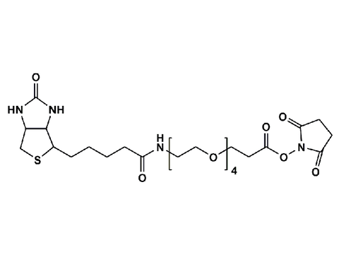 Monodispersed Poly(Ethylene Glycol) from PurePEG:(+)-Biotin-PEG4-CH2CH2COONHS Ester - MSE Supplies LLC