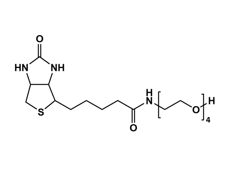 Monodispersed Poly(Ethylene Glycol) from PurePEG:(+)-Biotin-PEG4-OH - MSE Supplies LLC