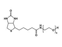 Monodispersed Poly(Ethylene Glycol) from PurePEG:(+)-Biotin-PEG4-OH - MSE Supplies LLC