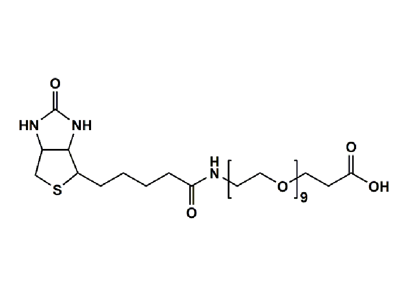Monodispersed Poly(Ethylene Glycol) from PurePEG:(+)-Biotin-PEG9-CH2CH2COOH - MSE Supplies LLC