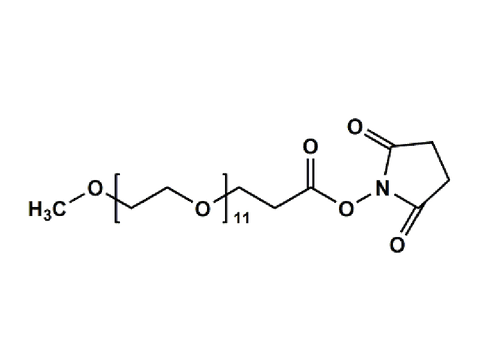 Monodispersed Poly(Ethylene Glycol) from PurePEG:mPEG11-CH2CH2COONHS Ester - MSE Supplies LLC