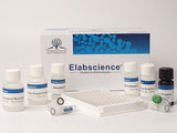 Mouse CORT (Corticosterone) ELISA Kit, Cell Assays, Elabscience Biotechnology, MSE Supplies