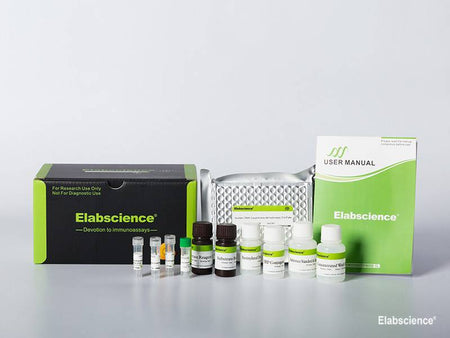 Mouse F12 (Coagulation Factor Ⅻ) CLIA Kit, Cell Assays, Elabscience Biotechnology, MSE Supplies