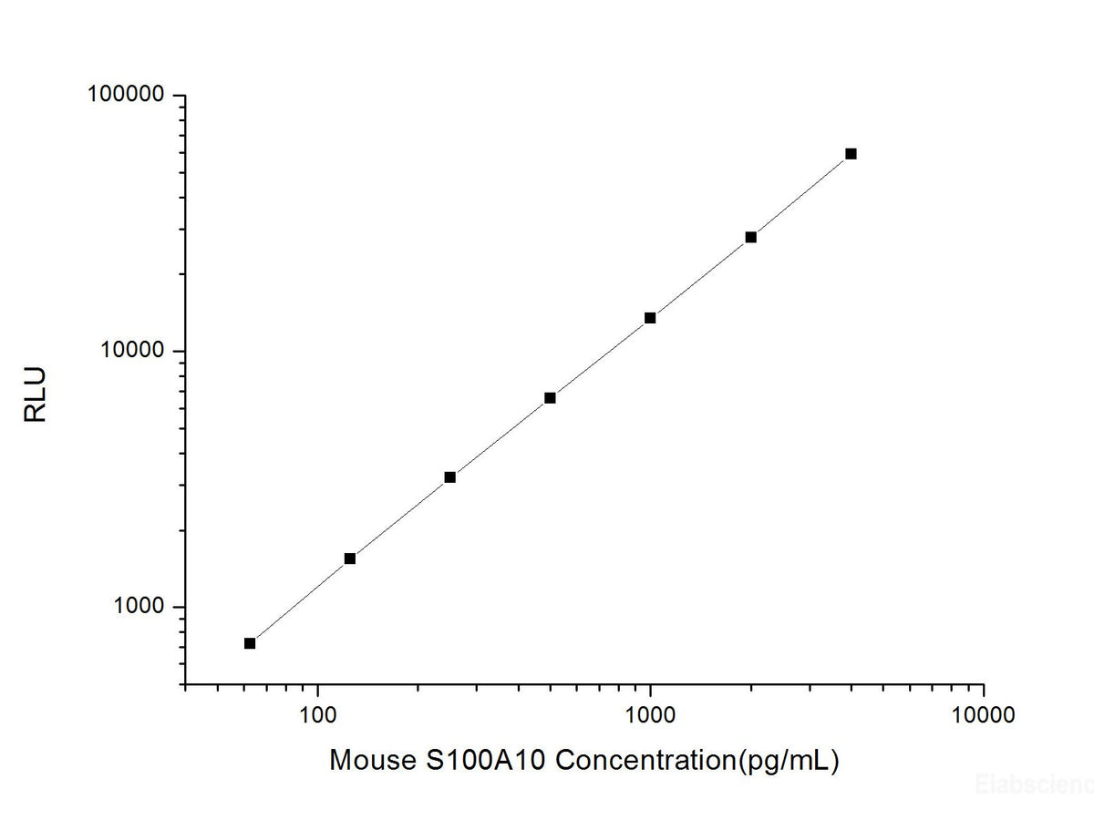 Mouse S100A10 (S100 Calcium-Binding Protein A10) CLIA Kit, Cell Assays, Elabscience Biotechnology, MSE Supplies
