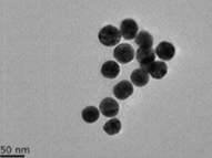 MSE PRO 10 mL Oil-Soluble Silver (Ag) Nanoparticles, 0.1mg/mL, Chemicals and Compounds, MSE Supplies LLC, MSE Supplies