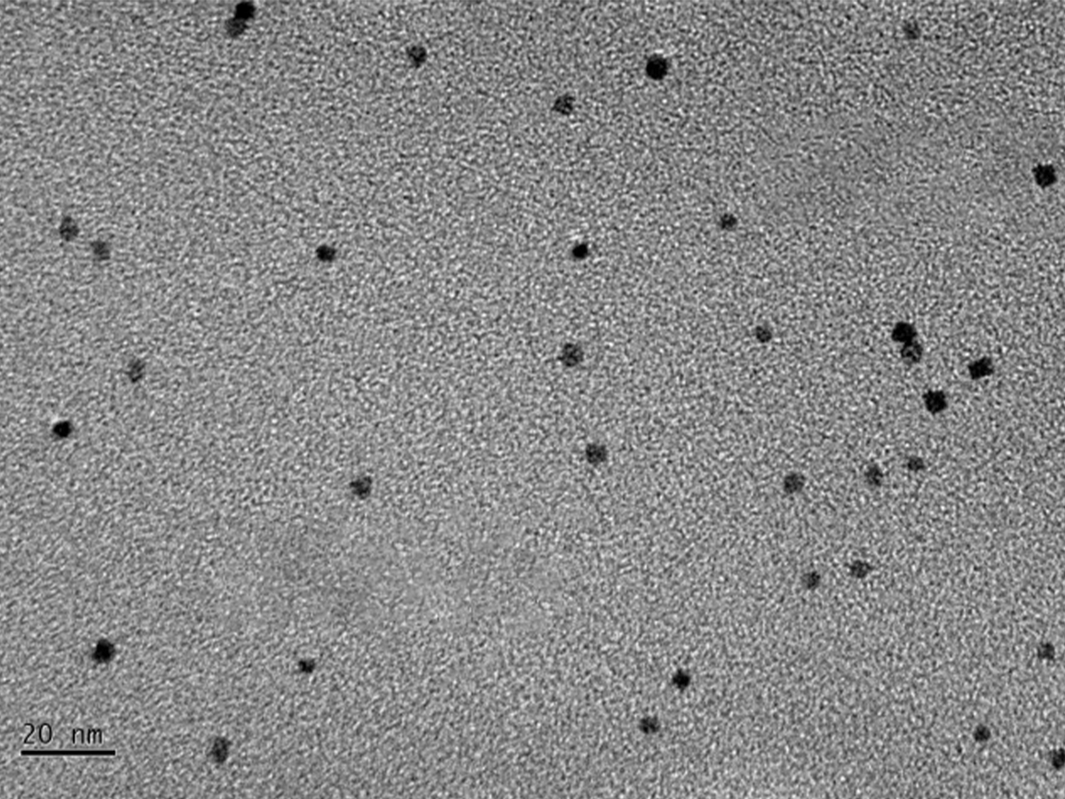 MSE PRO 10mL Bovine Serum Albumin (BSA) Au nanoclusters Water Solution, 0.1mg/mL, Chemicals and Compounds, MSE Supplies LLC, MSE Supplies