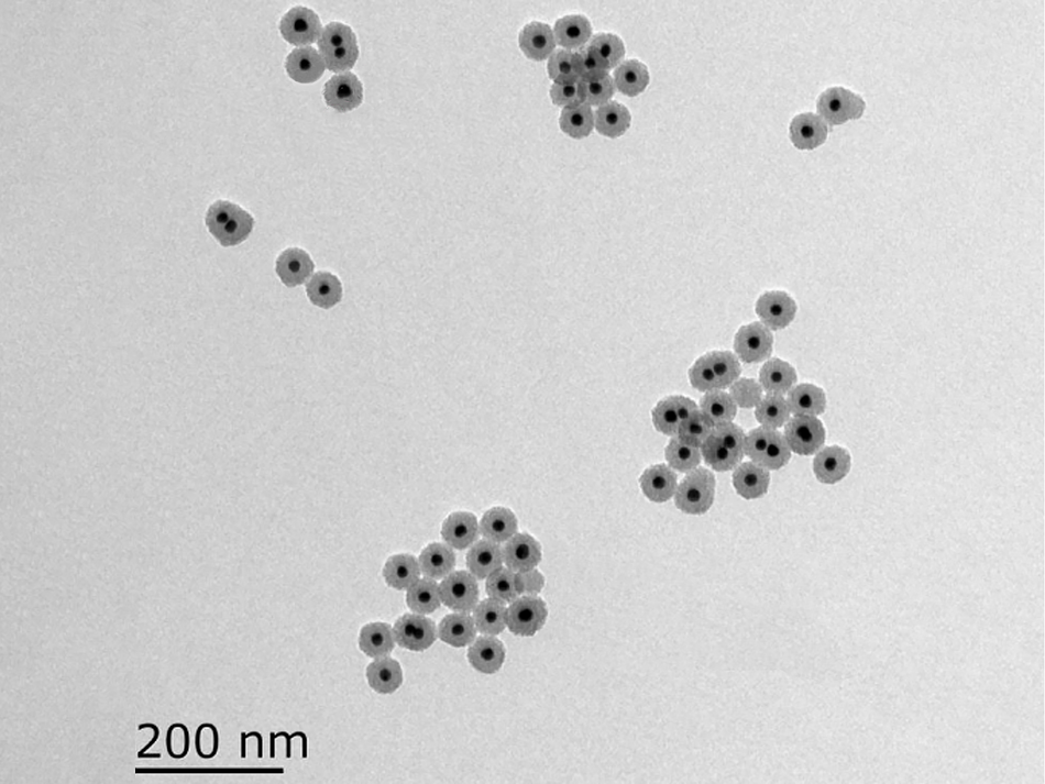 MSE PRO 10mL Silica-coated Gold Nanoparticles Ethanol Solution, 0.05mg/mL, Chemicals and Compounds, MSE Supplies LLC, MSE Supplies