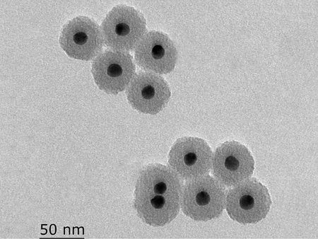 MSE PRO 10mL Silica-coated Gold Nanoparticles Ethanol Solution, 0.05mg/mL, Chemicals and Compounds, MSE Supplies LLC, MSE Supplies