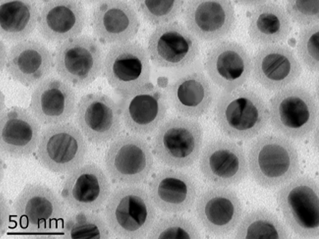 MSE PRO 10mL Silica-coated Silver Nanoparticles Ethanol Solution, 0.1mg/mL, Chemicals and Compounds, MSE Supplies LLC, MSE Supplies