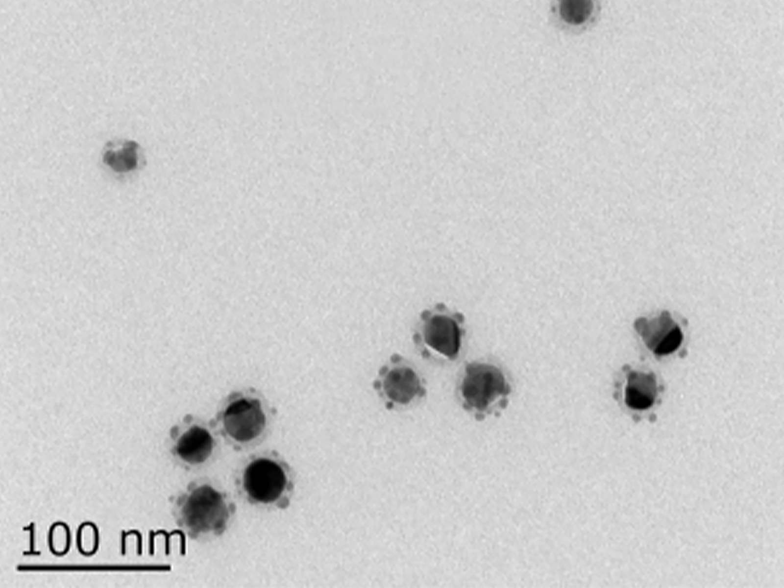 MSE PRO 10mL Silica-coated Silver Nanoparticles Ethanol Solution, 0.1mg/mL, Chemicals and Compounds, MSE Supplies LLC, MSE Supplies