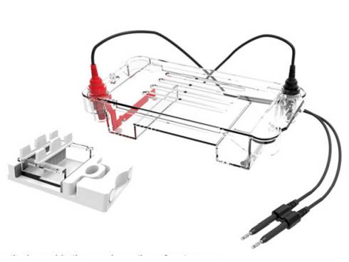 MSE PRO 300ml Horizontal Electrophoresis Tank Buffer Volume