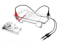 MSE PRO 300ml Horizontal Electrophoresis Tank Buffer Volume