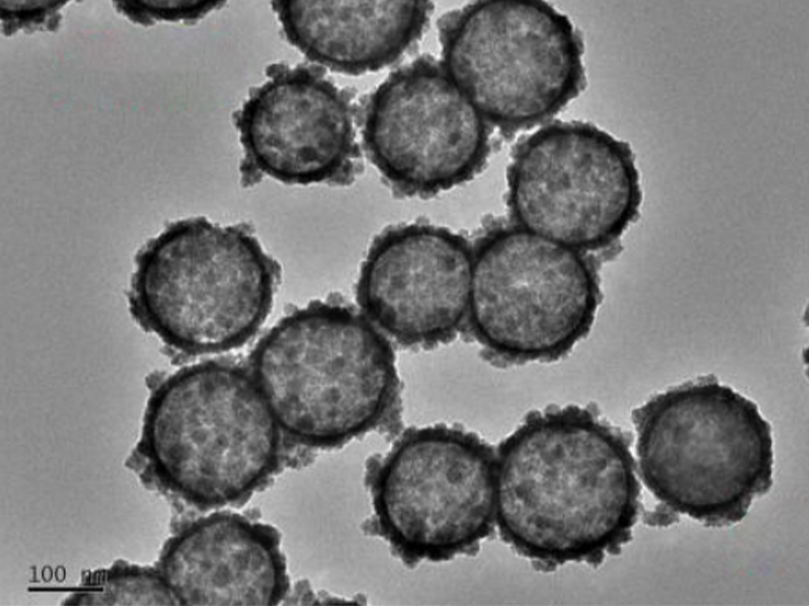 MSE PRO Hollow Mesoporous Ceria (CeO<sub>2</sub>) Nanoparticles Water Solution, 1 mg/mL, Chemicals and Compounds, MSE Supplies LLC, MSE Supplies