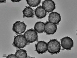 MSE PRO Hollow Mesoporous Ceria (CeO<sub>2</sub>) Nanoparticles Water Solution, 1 mg/mL, Chemicals and Compounds, MSE Supplies LLC, MSE Supplies