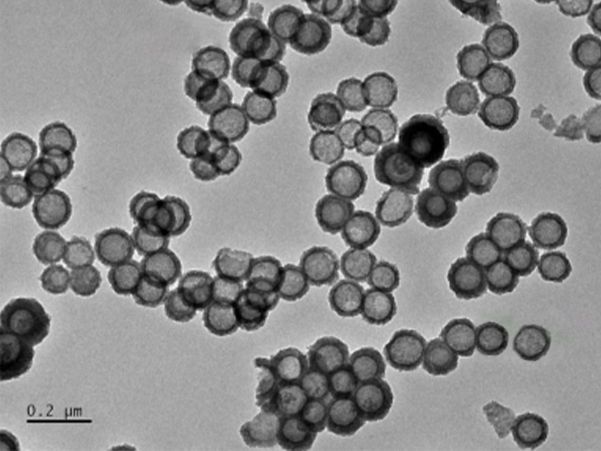 MSE PRO Hollow Mesoporous Manganese Dioxide Nanoparticles Water Solution, 1 mg/mL, Chemicals and Compounds, MSE Supplies LLC, MSE Supplies