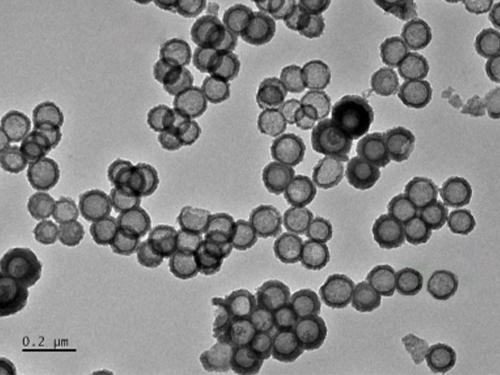 MSE PRO Hollow Mesoporous Manganese Dioxide Nanoparticles Water Solution, 1 mg/mL, Chemicals and Compounds, MSE Supplies LLC, MSE Supplies