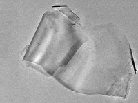 MSE PRO Hydroxylated Graphene Powder, 500mg, Chemicals and Compounds, MSE Supplies LLC, MSE Supplies