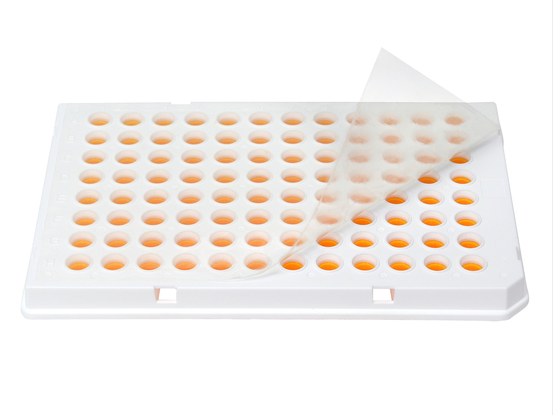 MSE PRO Pure•Amp™ Pre-cut Sealing Membranes, PCR Products, MSE Supplies LLC, MSE Supplies
