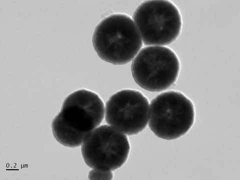 MSE PRO Silica-coated Magnetic (Fe<sub>3</sub>O<sub>4</sub>) Nanoparticles Powder, Chemicals and Compounds, MSE Supplies LLC, MSE Supplies