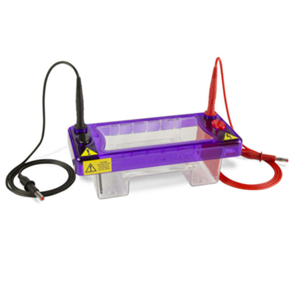 Cleaver Scientific multiSUB Mini Electrophoresis System - Gel Electrophoresis - Cleaver Scientific - MSE Supplies