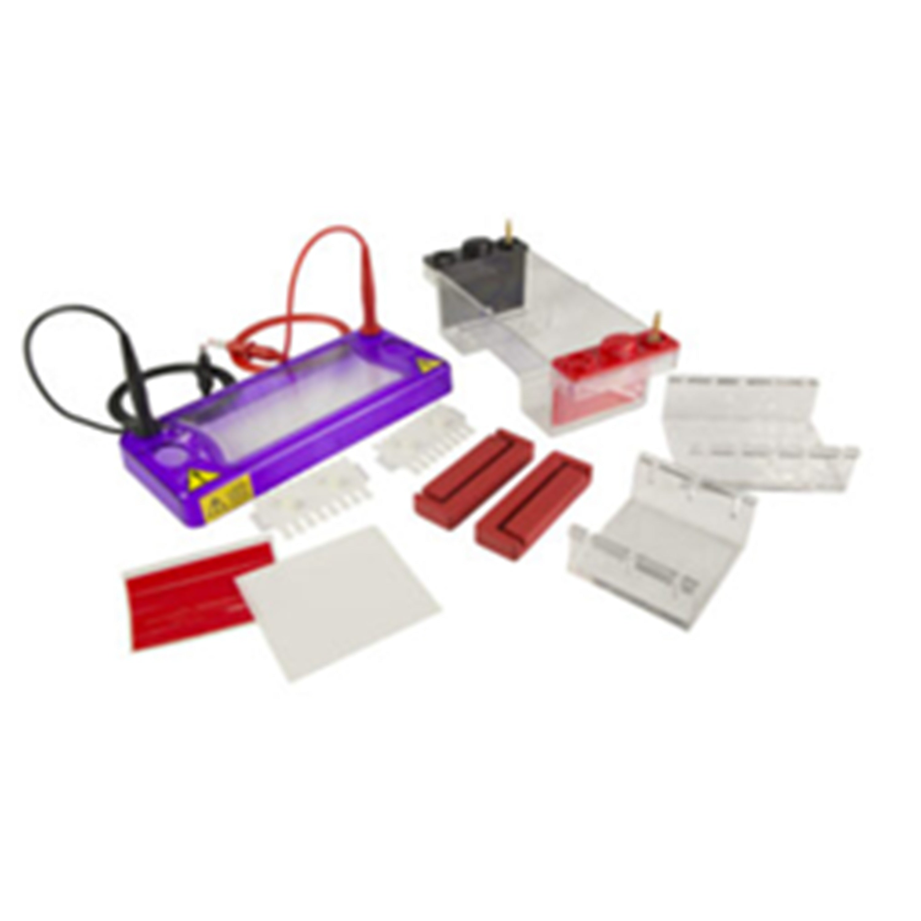 Cleaver Scientific multiSUB Mini Electrophoresis System - Gel Electrophoresis - Cleaver Scientific - MSE Supplies