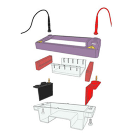 Cleaver Scientific multiSUB Mini Electrophoresis System - Gel Electrophoresis - Cleaver Scientific - MSE Supplies