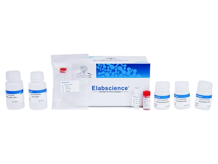 MYC (EQKLISEEDL)-tagged Protein Purification Kit, Biomarkers, Elabscience Biotechnology, MSE Supplies