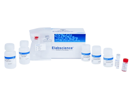 MYC (EQKLISEEDL)-tagged Protein Purification Kit, Biomarkers, Elabscience Biotechnology, MSE Supplies