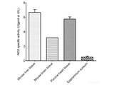 NADH Oxidase (NOX) Activity Assay Kit, Cell Assays, Elabscience Biotechnology, MSE Supplies
