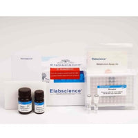 Free Fatty Acids (NEFA/FFA) Colorimetric Assay Kit (Enzyme Method) - Cell Assays - Elabscience Biotechnology - MSE Supplies