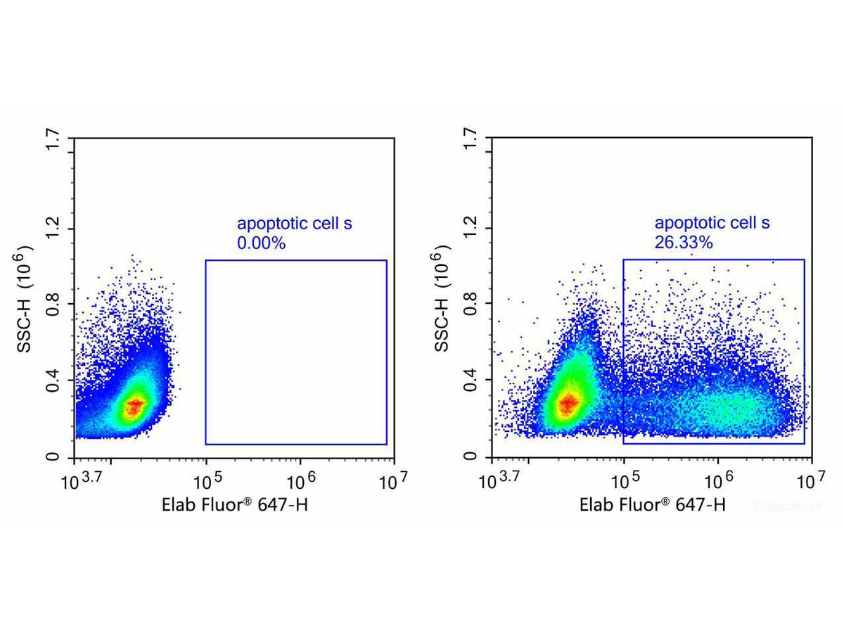 One-step TUNEL Flow Cytometry Apoptosis Kit (Red, Elab Fluor® 647), Cell Assays, Elabscience Biotechnology, MSE Supplies