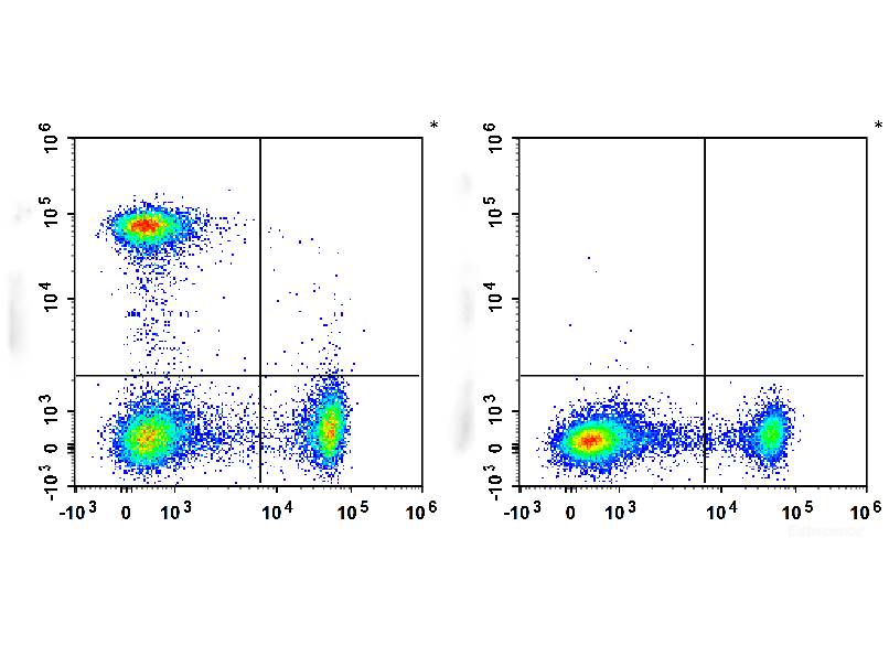 PerCP/Cyanine5.5 Anti-Human CD194/CCR4 Antibody[L291H4], Biomarkers, Elabscience Biotechnology, MSE Supplies