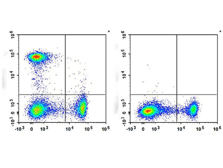 PerCP/Cyanine5.5 Anti-Human CD194/CCR4 Antibody[L291H4], Biomarkers, Elabscience Biotechnology, MSE Supplies