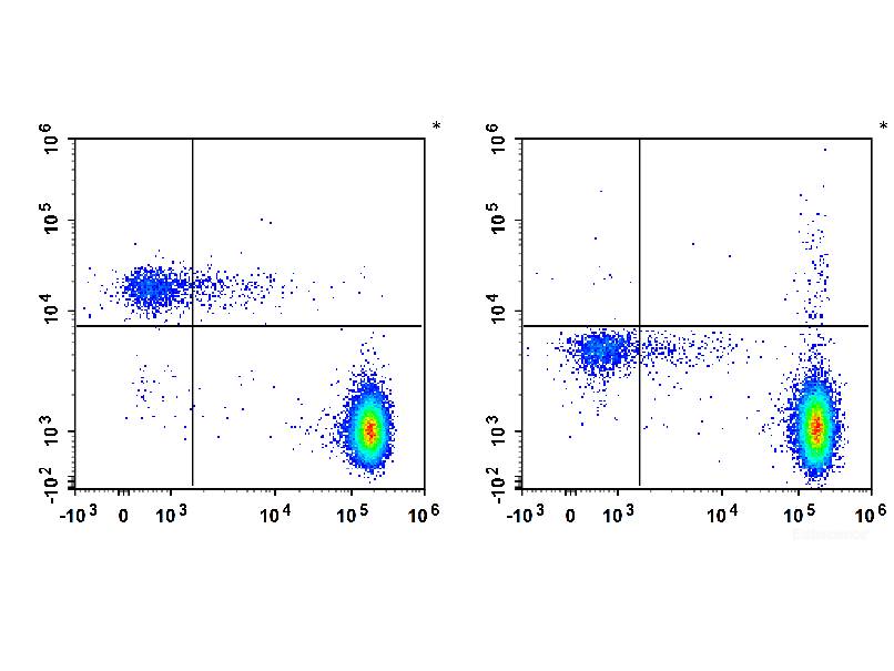 PE Anti-Human CD193/CCR3 Antibody[5E8], Biomarkers, Elabscience Biotechnology, MSE Supplies