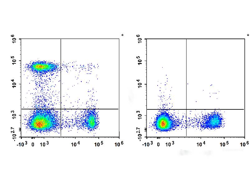 APC Anti-Human CD194/CCR4 Antibody[L291H4], Biomarkers, Elabscience Biotechnology, MSE Supplies