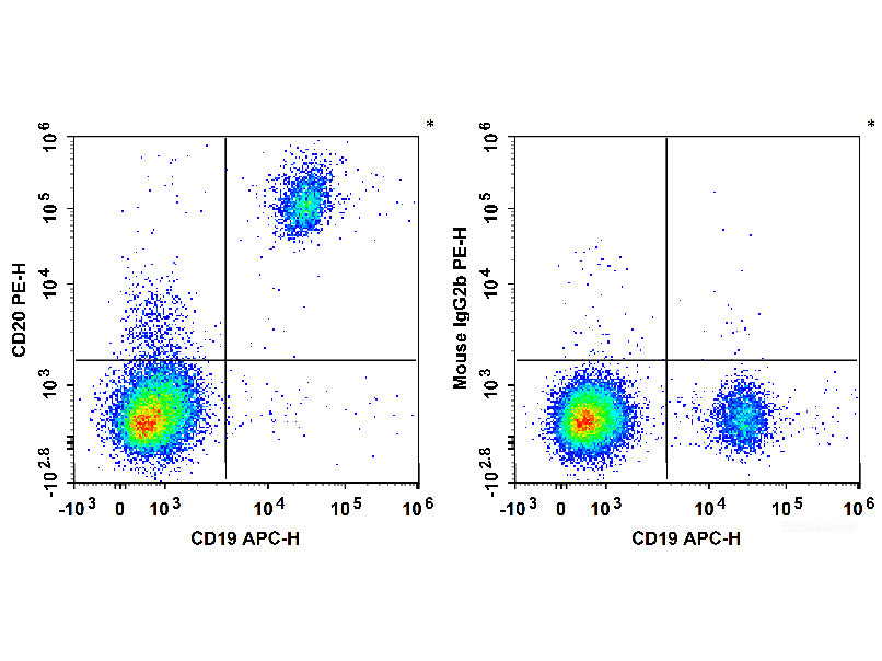 PE Anti-Human CD20 Antibody[2H7], Biomarkers, Elabscience Biotechnology, MSE Supplies