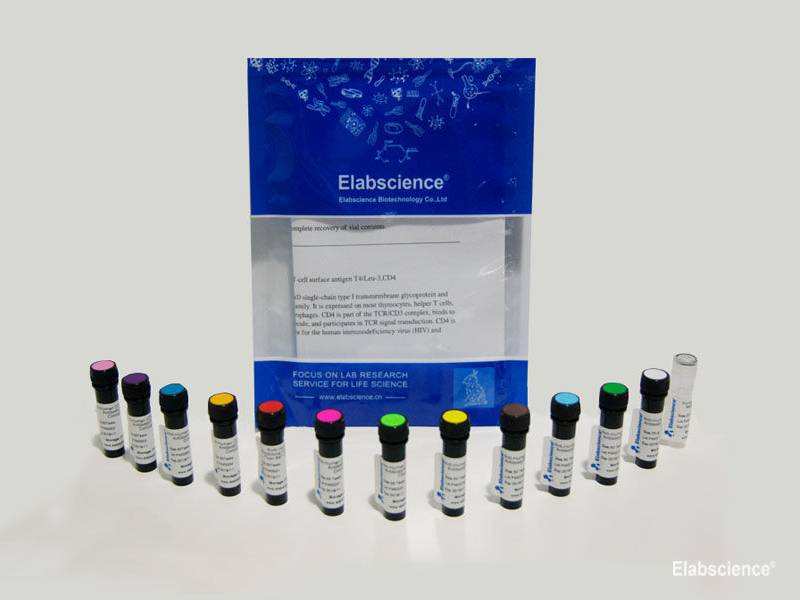 PE/Elab Fluor® 594 Anti-Human CD28 Antibody[CD28.2], Biomarkers, Elabscience Biotechnology, MSE Supplies