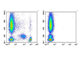 PE Anti-Human CD4 Antibody[SK3], Biomarkers, Elabscience Biotechnology, MSE Supplies