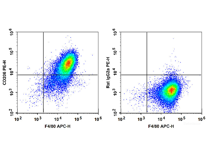 PE Anti-Mouse CD206/MMR Antibody[C068C2], Biomarkers, Elabscience Biotechnology, MSE Supplies
