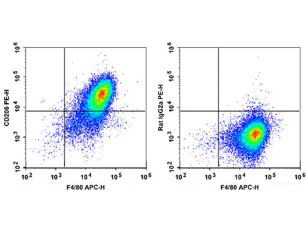 PE Anti-Mouse CD206/MMR Antibody[C068C2], Biomarkers, Elabscience Biotechnology, MSE Supplies