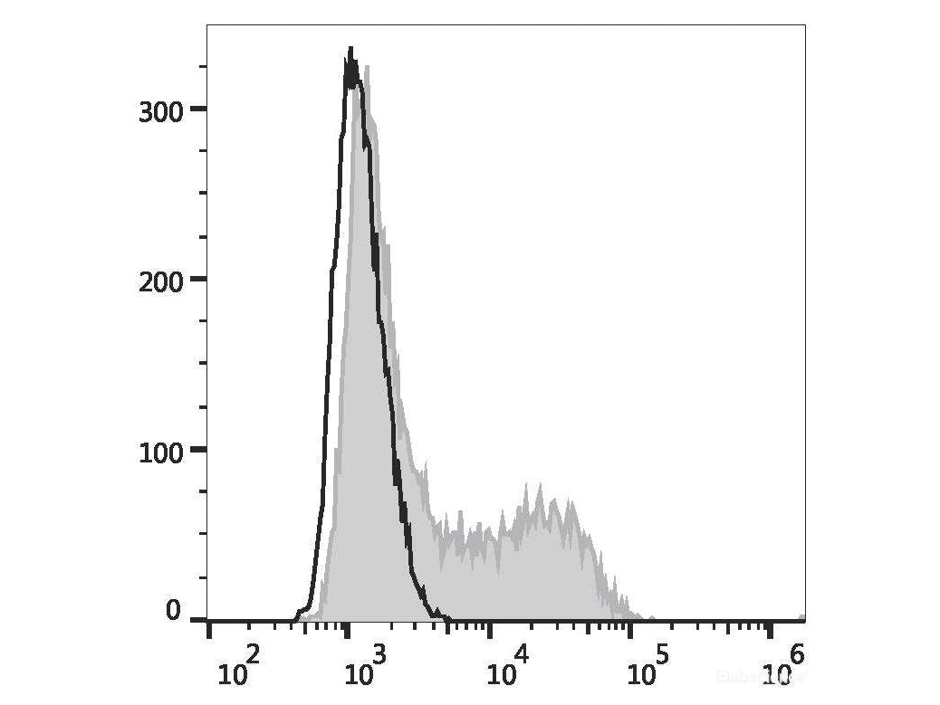 PE Anti-Mouse IL-4 Antibody[11B11], Biomarkers, Elabscience Biotechnology, MSE Supplies